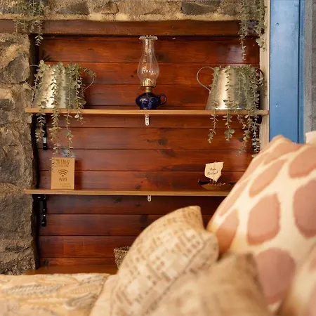 King Shelter By Homie Сasa de vacaciones