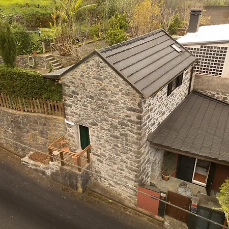 King Shelter By Homie *