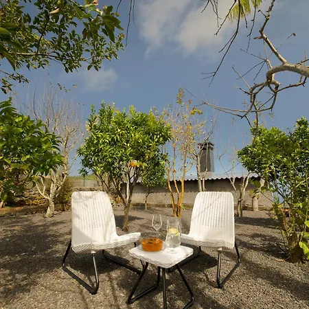 King Shelter By Madeira Sun Travel *