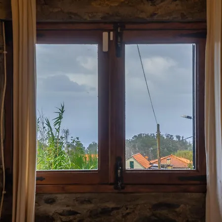 King Shelter By Homie