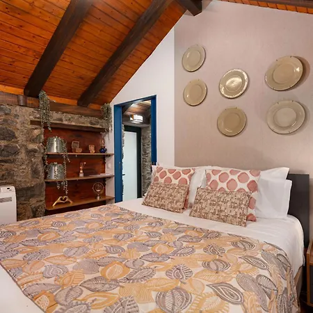 King Shelter By Homie