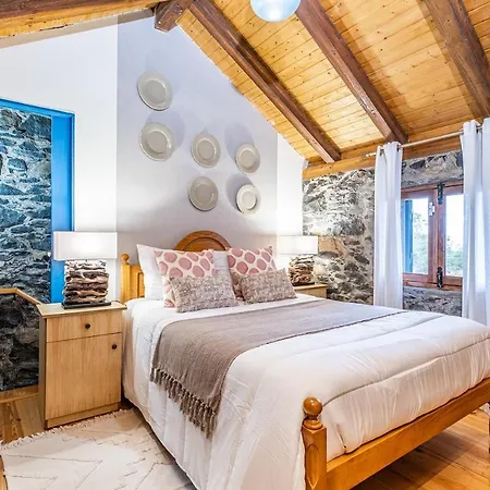 King Shelter By Homie Porto Moniz