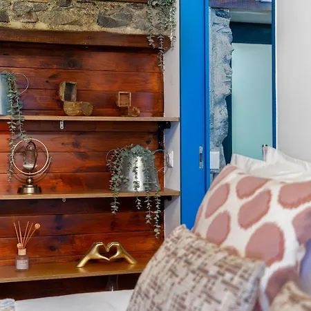 King Shelter By Homie