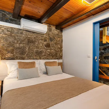 King Shelter By Homie Porto Moniz