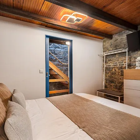 King Shelter By Homie *