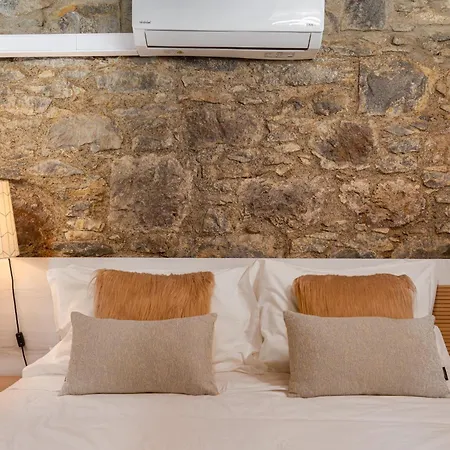 King Shelter By Homie