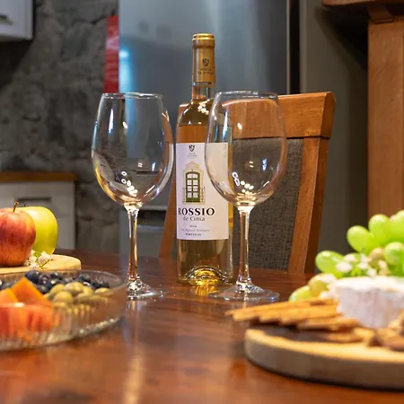 Holiday home King Shelter By Homie