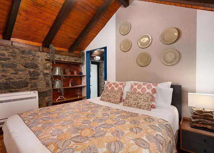 King Shelter By Homie