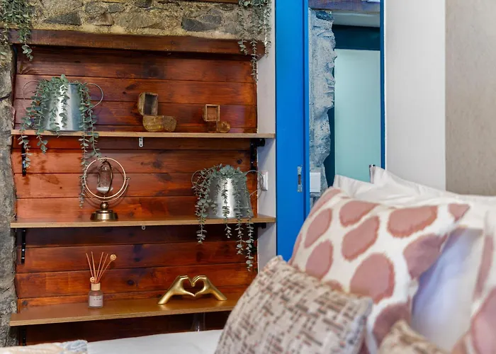 King Shelter By Homie