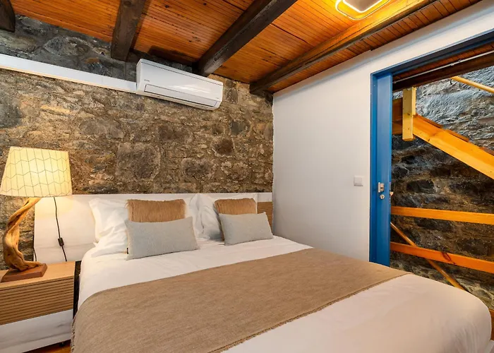 King Shelter By Homie Porto Moniz