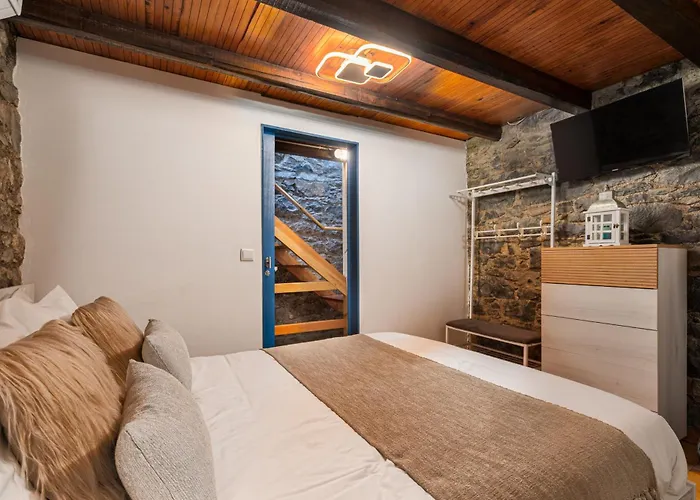 King Shelter By Homie *