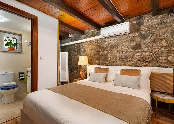 King Shelter By Homie