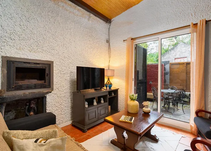 King Shelter By Homie