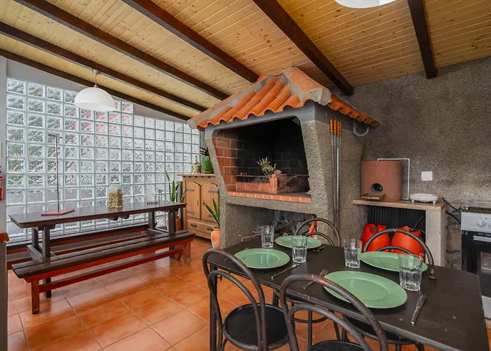 King Shelter By Homie *