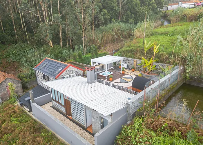 King Shelter By Homie *